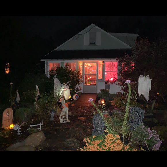 ๐ป2019 Halloween Yard & My โZEROโ Dog Creation!๐ฆ - Picture 1 of 8